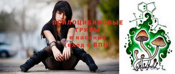 ГАЛЛЮЦИНОГЕННЫЕ ГРИБЫ Надым