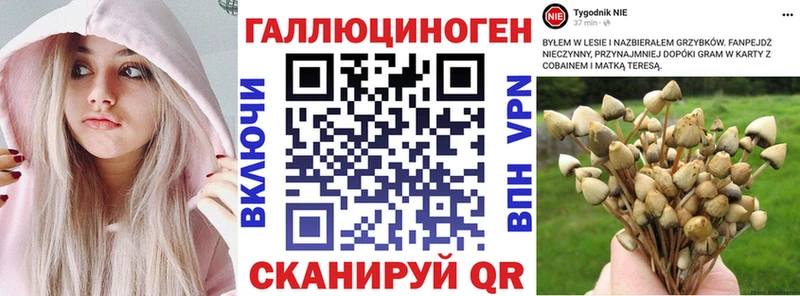 как найти закладки  Райчихинск  Галлюциногенные грибы Magic Shrooms 